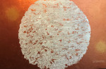 Cerchio di costruzione  80x120    € 450  op